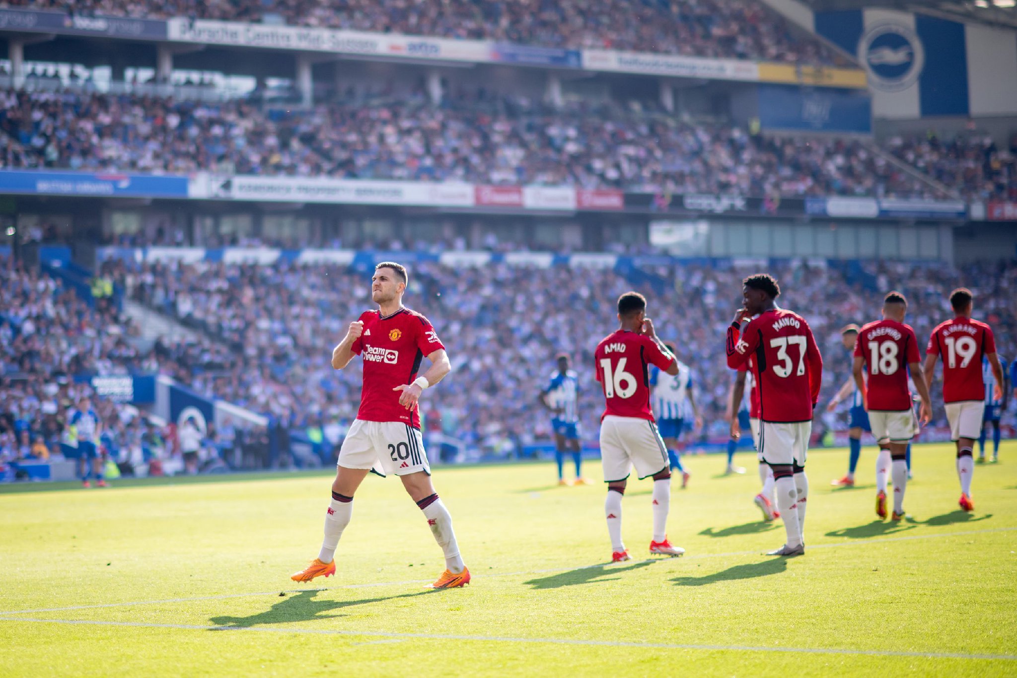 不僅幫助球 不僅幫助球